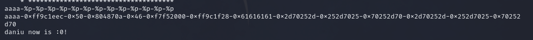 image-20240903212346797